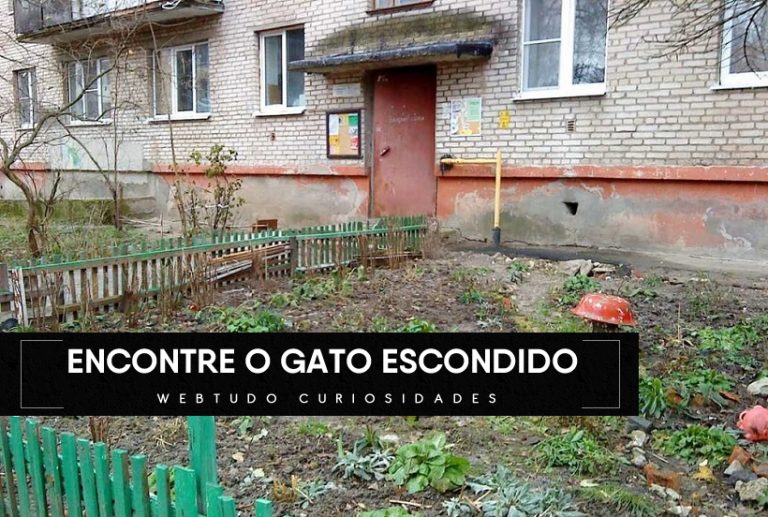 Desafio Tente Encontrar Um Gato Escondido Na Imagem Webtudo Curiosidades