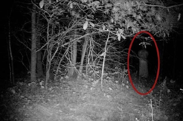 aparicoes-de-fantasmas3-640x425 Fotos de supostas aparições de fantasmas