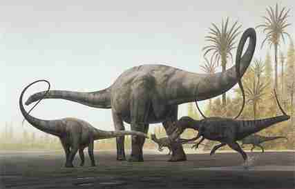 Rex-Diplodocus A incrível história dos mais famosos Dinossauros