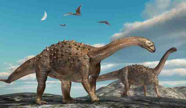 Saltasaurus-640x372 A incrível história dos mais famosos Dinossauros