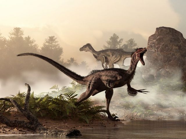 Velociraptor-640x480 A incrível história dos mais famosos Dinossauros