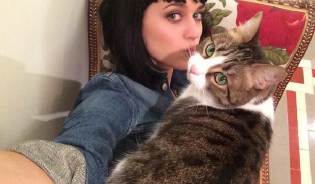 selfie-com-o-gato Coisas estranhas que toda pessoa que gosta de gatos já fez