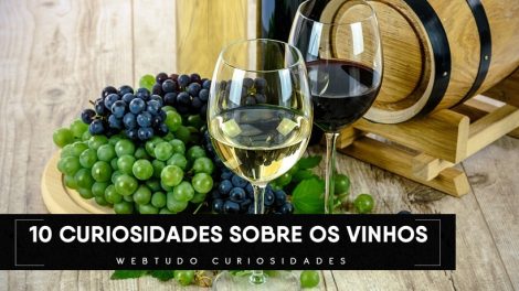 curiosidades sobre o vinho