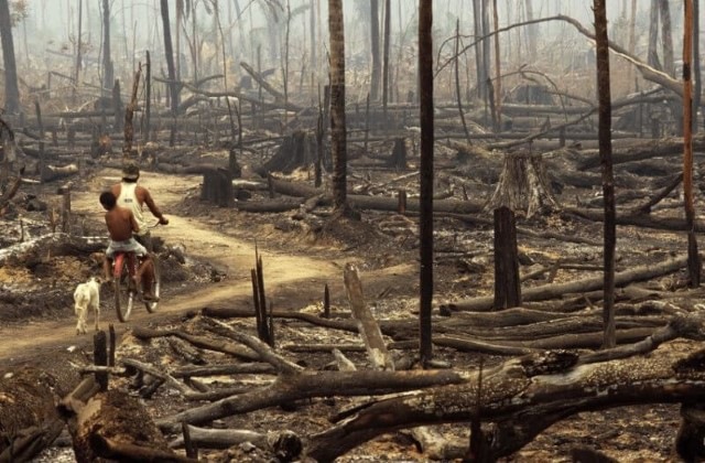 incendio-na-floresta-amazonica Imagens chocantes que comprovam que estamos em perigo