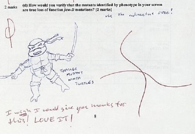 as-perolas-da-internet-tartaruga-ninja As respostas mais criativas e engraçadas em provas - 2° Grau