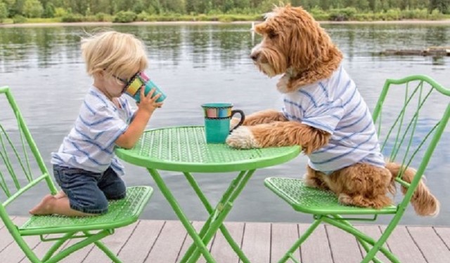 crianca-buddy-e-cachorro-reagan Linda amizade entre uma criança e um cão