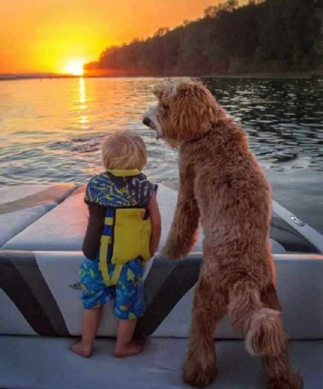 crianca-buddy-e-cachorro-reagan12-1 Linda amizade entre uma criança e um cão