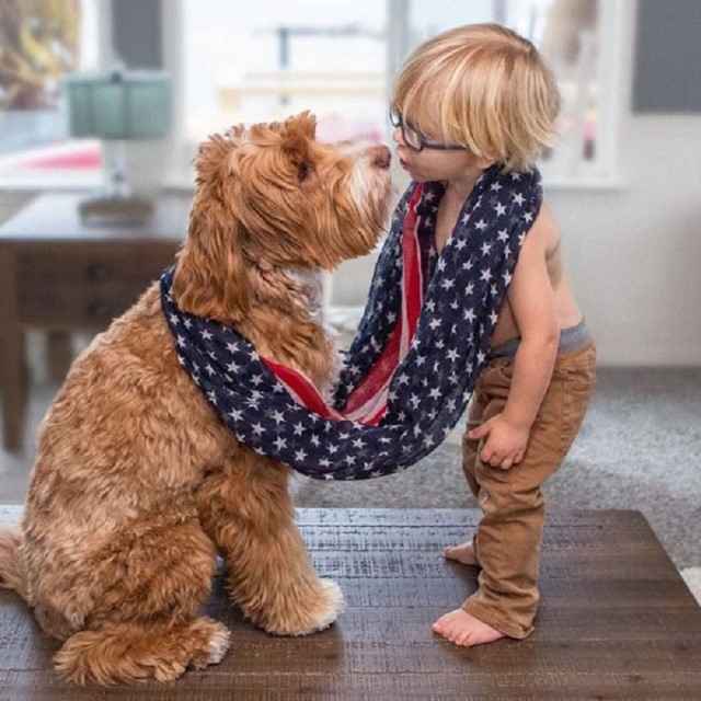crianca-buddy-e-cachorro-reagan8 Linda amizade entre uma criança e um cão