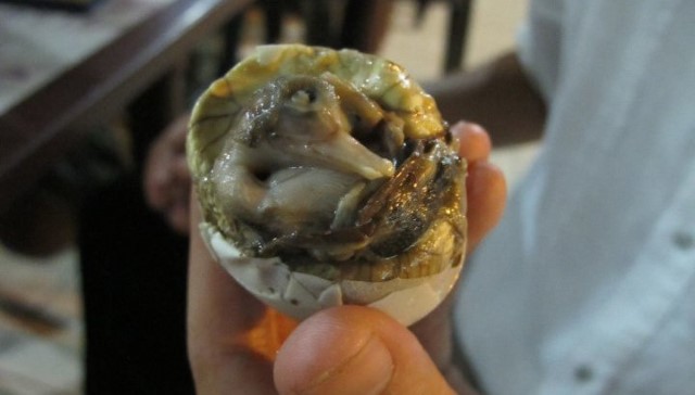 Balut Veja as comidas mais estranhas do mundo