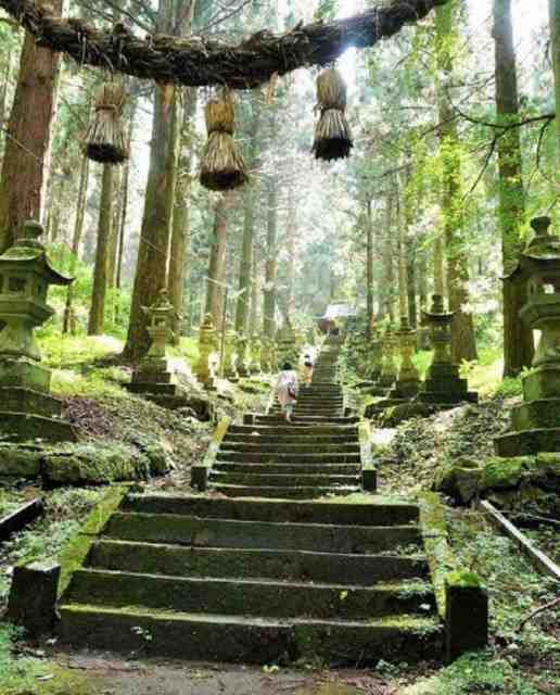 Kamishikimi-Kumanoimasu-Shrine 20 imagens fascinantes do santuário xintoísta no Japão