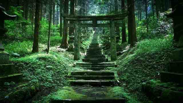 Kamishikimi-Kumanoimasu-Shrine3 20 imagens fascinantes do santuário xintoísta no Japão