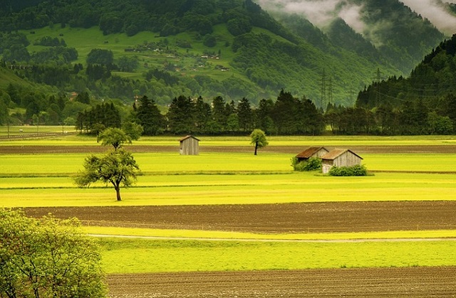 paisagem-do-campo As paisagens mais incríveis da Suiça